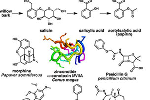 Drugs & Analogues